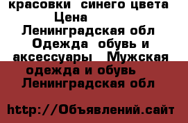 Reebok  красовки  синего цвета  › Цена ­ 2 000 - Ленинградская обл. Одежда, обувь и аксессуары » Мужская одежда и обувь   . Ленинградская обл.